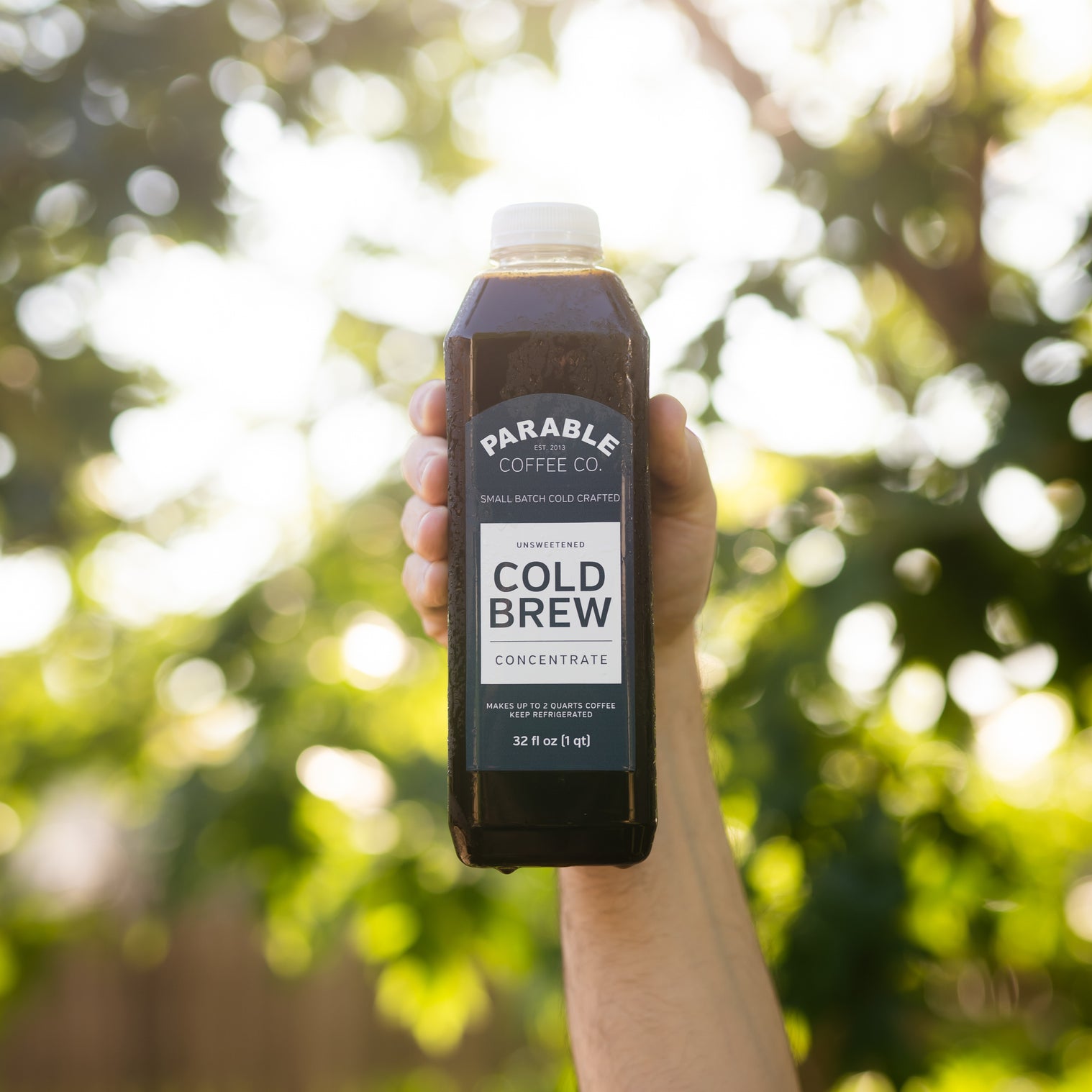 Cold Brew Concentrate | 32oz Bottle //Sundog Cold Brew Blend