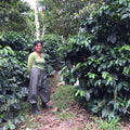 Henry Gaibor | Finca Maputo, Hakuna Matata // Ecuador