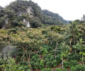 Guatemala Huehuetenango