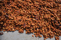 Finca El Cerro - Las Lajas Micromill // Costa Rica